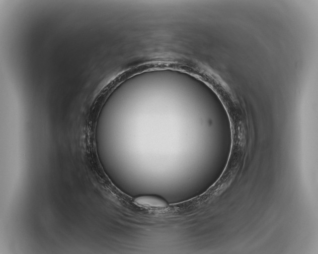 X0000116331352200912011124