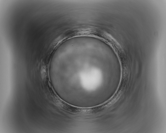 X0000116331353200912011124