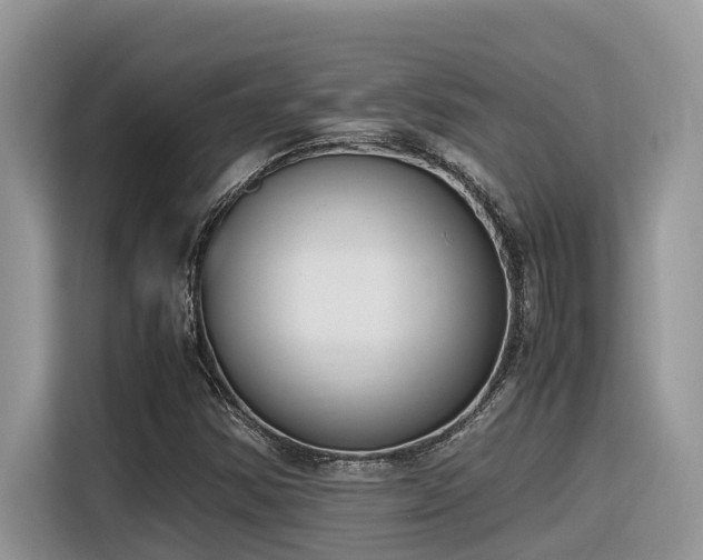 X0000116331354200912011124