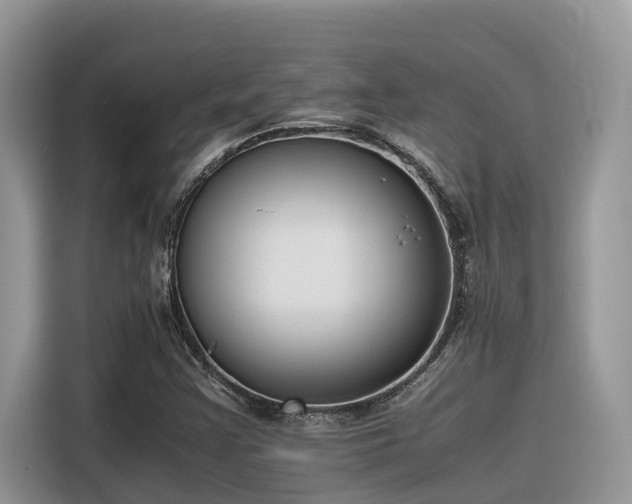 X0000116331355200912011124