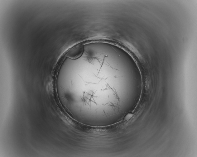 X0000116331356200912011124