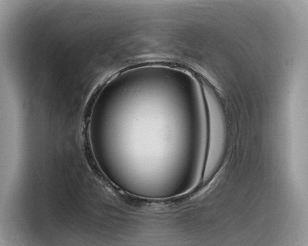 X0000116331357200912011124