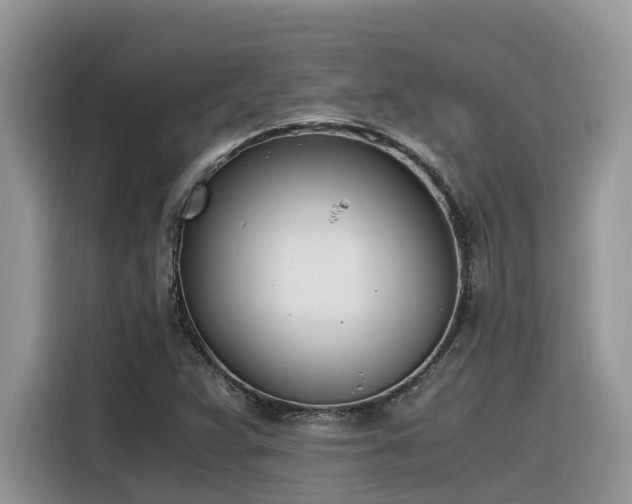 X0000116331359200912011124