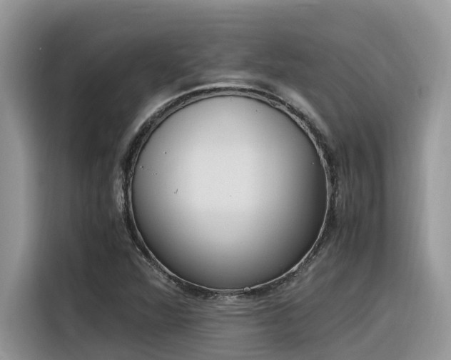 X0000116331360200912011124