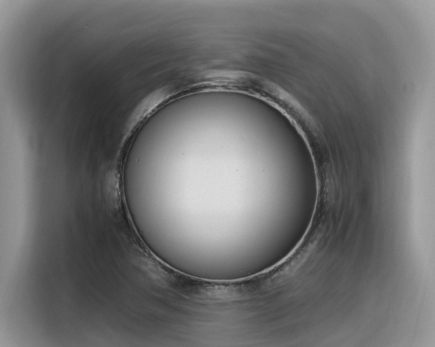 X0000116331362200912011124