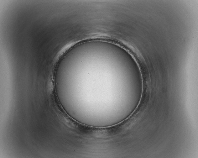 X0000116331363200912011124