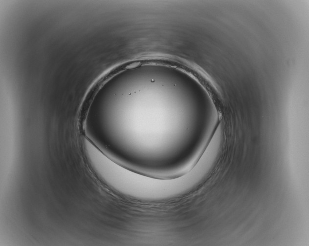 X0000116331364200912011124