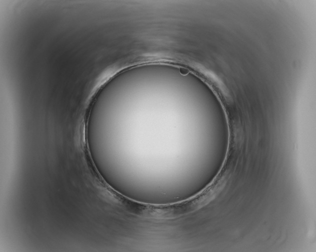X0000116331365200912011124
