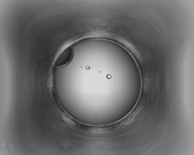 X0000116331366200912011124