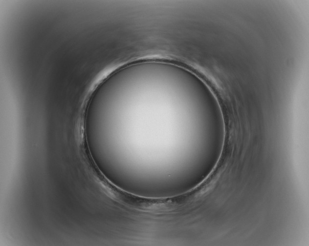 X0000116331367200912011124