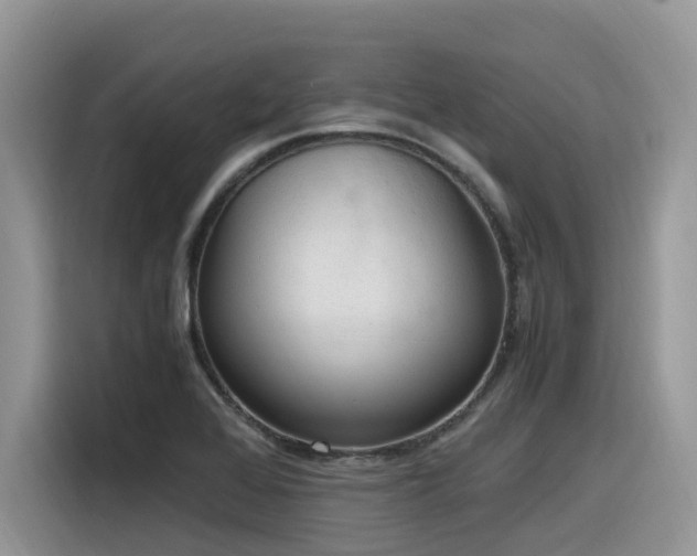 X0000116331368200912011124