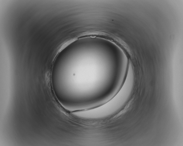 X0000116331369200912011124