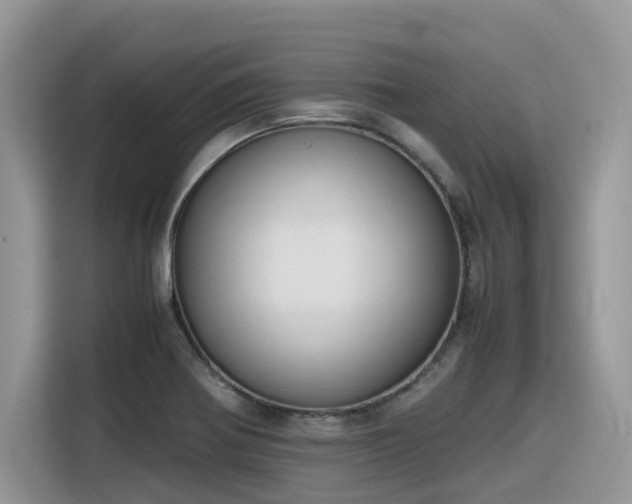 X0000116331370200912011124