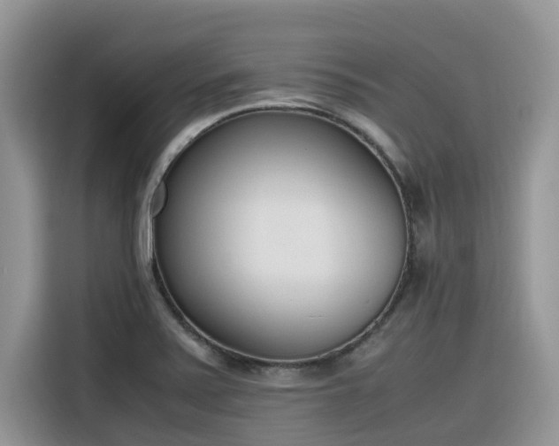 X0000116331371200912011124
