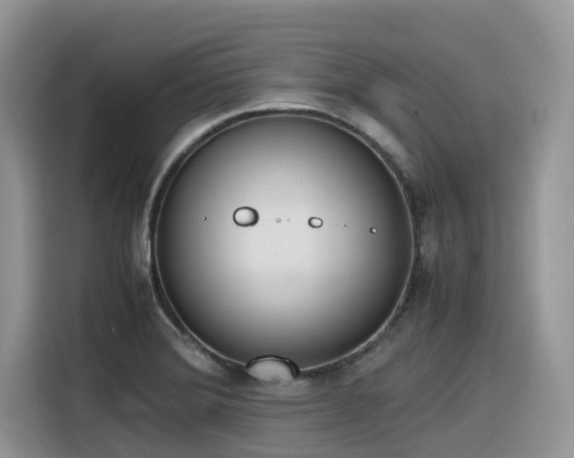 X0000116331372200912011124