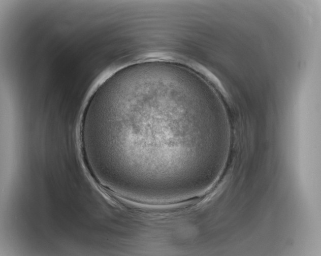 X0000116331373200912011124