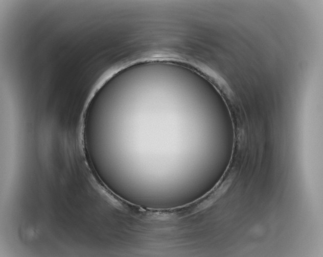 X0000116331374200912011124
