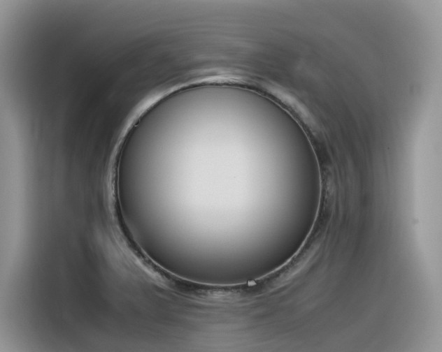 X0000116331375200912011124
