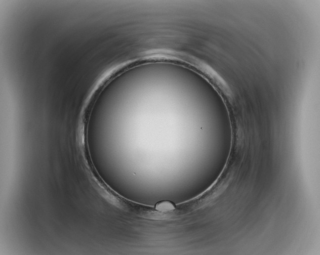 X0000116331376200912011124