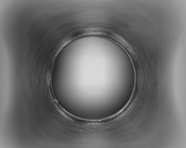 X0000116331377200912011124