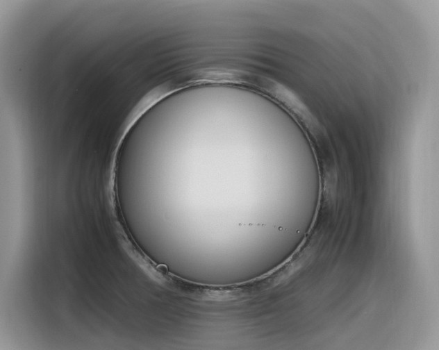 X0000116331378200912011124