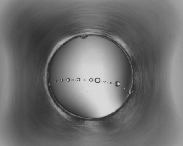 X0000116331379200912011124