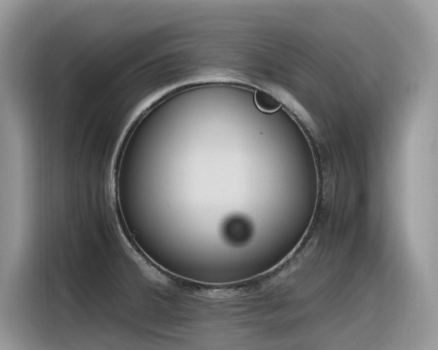 X0000116331380200912011124