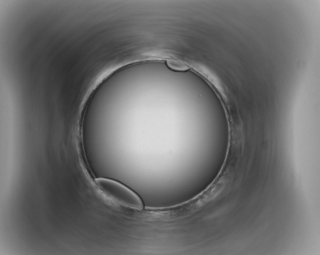 X0000116331381200912011124