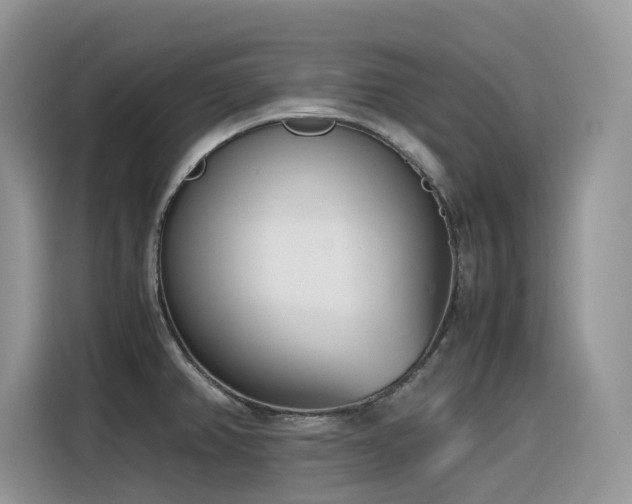 X0000116331382200912011124
