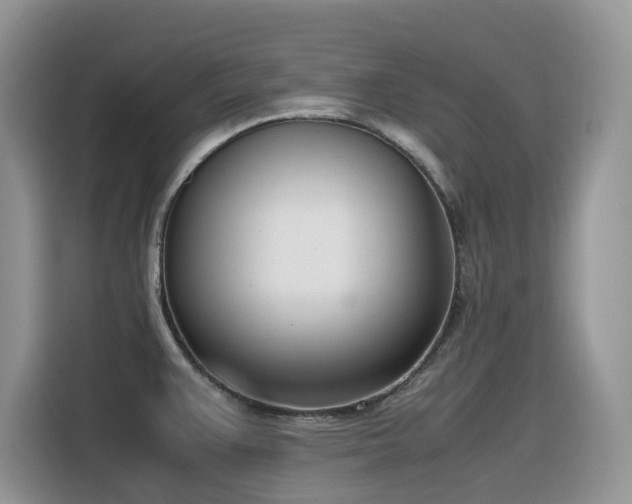 X0000116331383200912011124