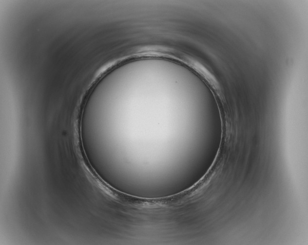 X0000116331384200912011124