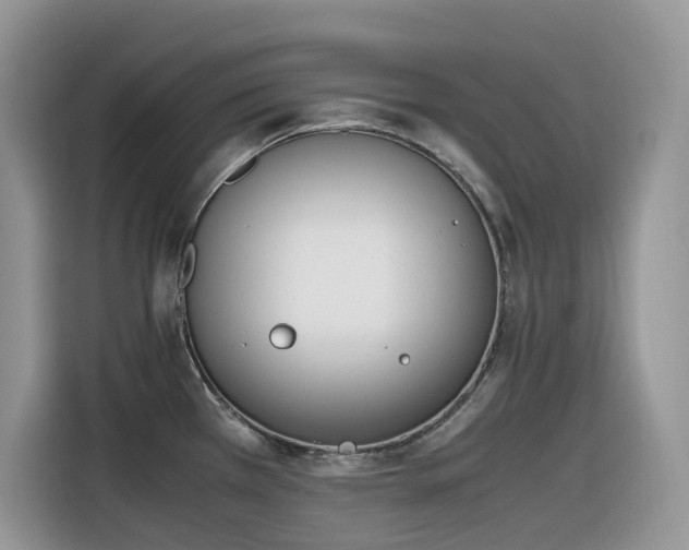 X0000116331385200912011124