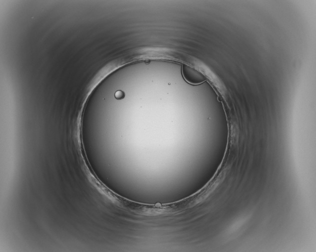 X0000116331386200912011124