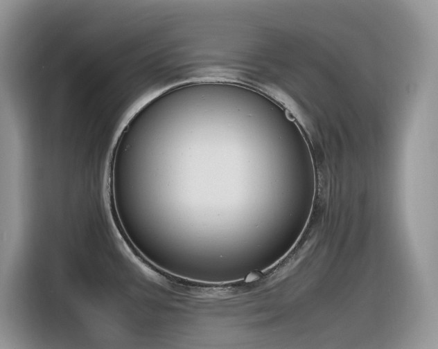 X0000116331387200912011124