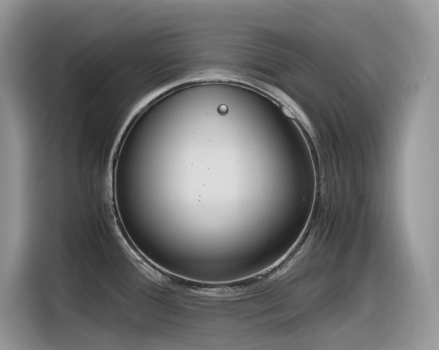 X0000116331388200912011124