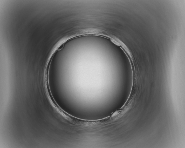 X0000116331389200912011124