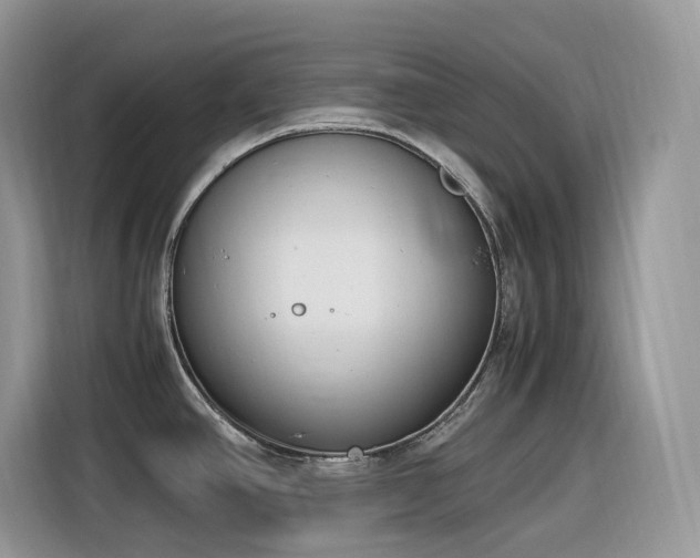 X0000116331390200912011124