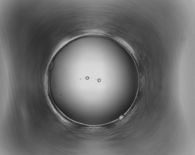 X0000116331391200912011124