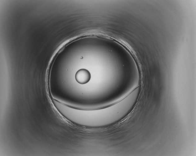 X0000116331392200912011124