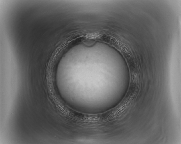X0000116331393200912011123