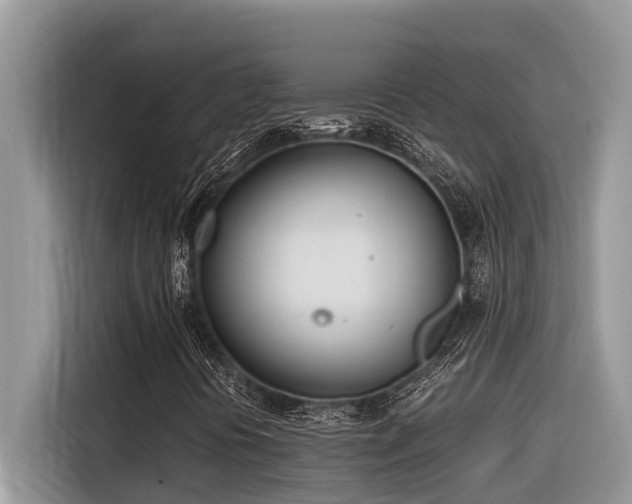 X0000116331394200912011123