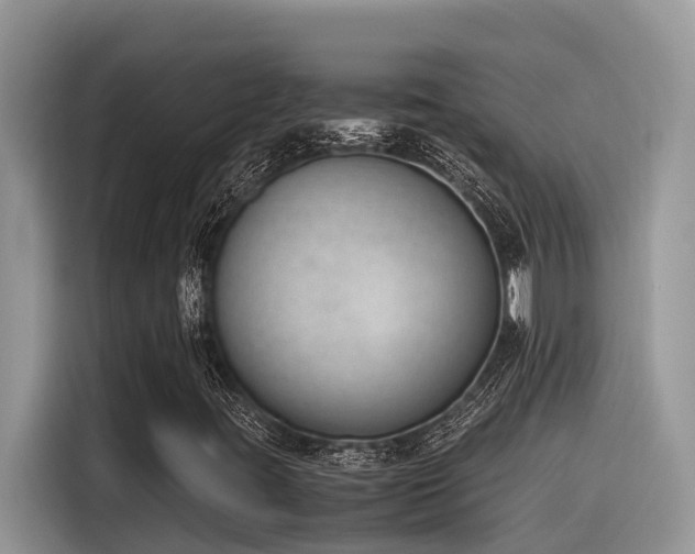 X0000116331395200912011123