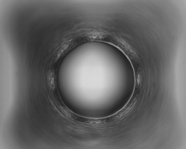 X0000116331396200912011123