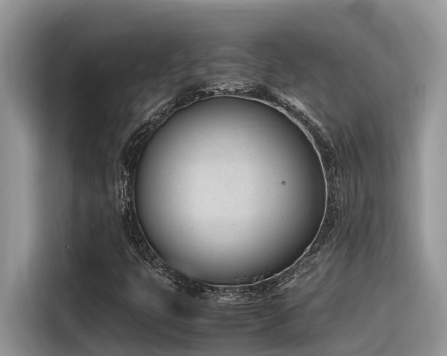 X0000116331399200912011123