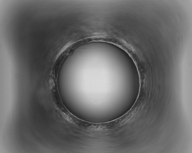 X0000116331400200912011123