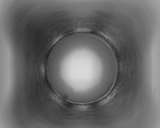 X0000116331401200912011123