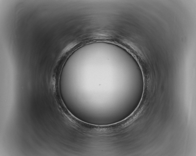 X0000116331402200912011123