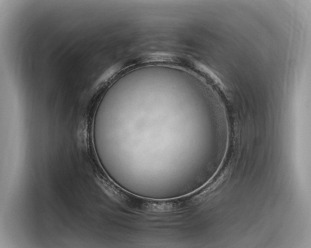 X0000116331403200912011123