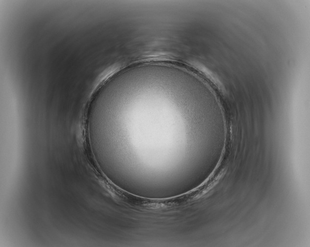 X0000116331405200912011123