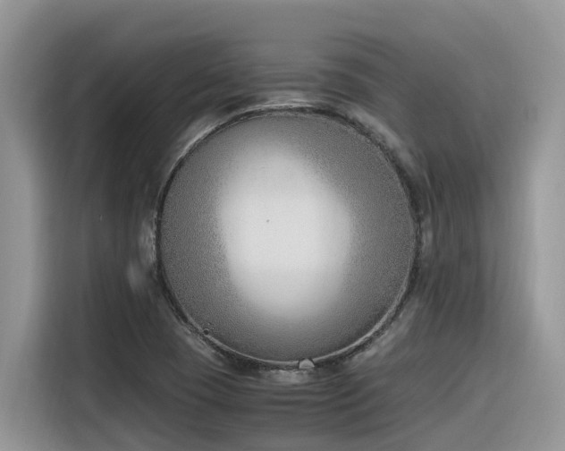 X0000116331409200912011123